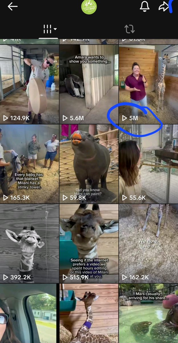 debelpolz's tweet photo. Reached 5 million views on a single tiktok !
$Milani https://t.co/ChgQCka4Oi