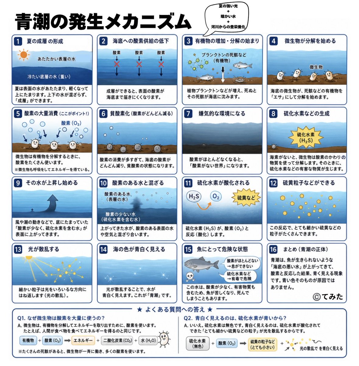 change_support_'s tweet photo. 自分もきちんと理解したくなったので、

なぜ青潮（あおしお）が出来るか、
理由や仕組みを、
視覚的にまとめてみました。
（AIすごい、、）

できるだけ注意したつもりでも、
不完全だと思いますので、
何かあれば
ご指摘頂けましたら幸いです。 https://t.co/NUcO4jvlTk