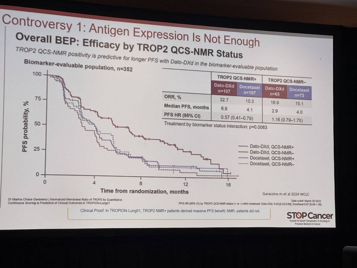 Conference slide titled 'Controversy 1: Antigen Expression Is Not Enough — Overall BEP: Efficacy by TROP2 QCS-NMR Status', showing Kaplan-Meier progression-free survival curves and a results table for Dato-DXd versus docetaxel split by TROP2 QCS-NMR positive and negative status in the TROPION-Lung01 biomarker-evaluable population, n=352. Slide credits Garassino et al, WCLC 2024.