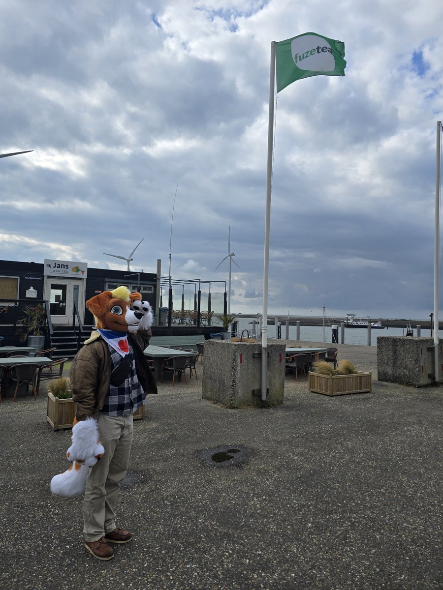 JanDeFloep's tweet photo. In this household we salute the fuzetea flag!

Fursuit by: @AlphaDogsStudio 
Picture by: @Gerryperiod 

#FursuitFriday https://t.co/PhPZr67WWs