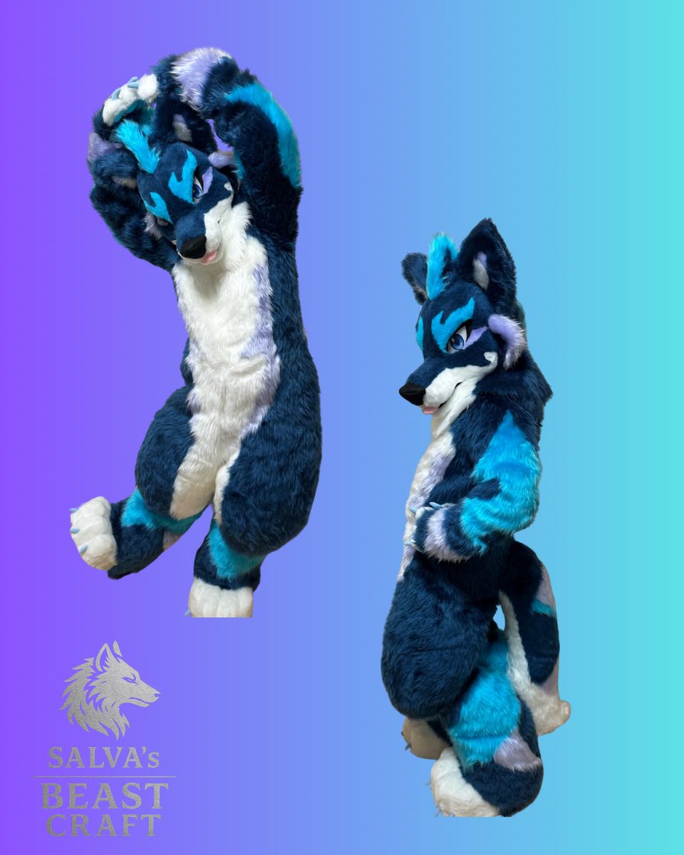 salvabeastcraft's tweet photo. お待たせ致しました！
Sapphire Wolf🐺💎の里親募集開始です！

・身長180センチまで
・頭囲60センチ前後
・足28センチまで
・胸囲110cmまで
・ウエスト90cmまで推奨
・脚あんこ４つ
・尻尾あんこ１つ
・チャック前面
・舌　取り外し可能
・ヘッド　裏地、優しい風くるよUSBコードファン（New）付き←取り外し可能

視界良好！
あんこは全て補充可能
ヘッドまるまる洗えます！！（シャワーで優しく！）

ヤフオク👉https://t.co/RlWMQsyV3L

気になる方はDMへ💌
拡散してくれたら嬉しいです。
宜しくお願い致しますっ！！

#着ぐるみ　#ケモノ　#wolf
#自作　#fursuit
