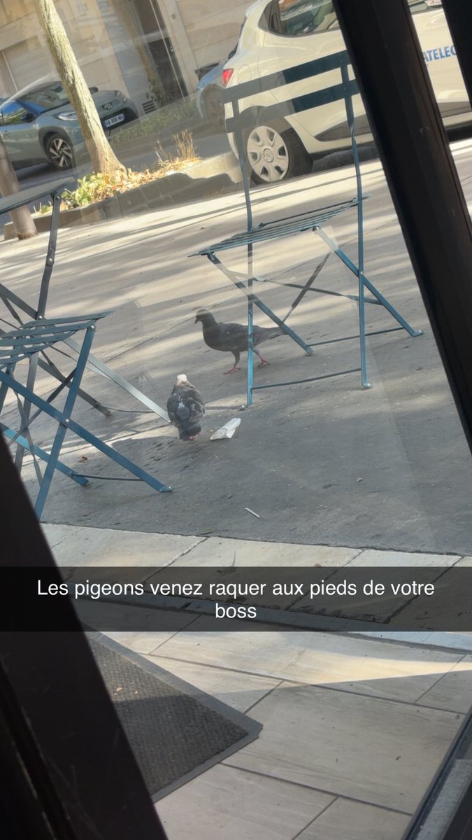 Prynce7593's tweet photo. Aujourd’hui j’vais vous hagar bande de sale gwer 💪🏽😈
Vous allez voir c’est quoi un vrai boss
Pour raquer venez en privé bande de bolosse 🐶
#domi #moneyslave #soumis #footfetısh #pieds #feet #rebeu #findom #alpha https://t.co/irsmcKnaTT