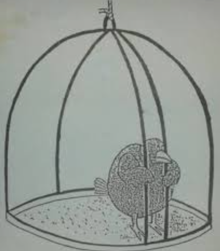 AdrianoAndrs2's tweet photo. @avassweetheart the Khia asylum according to her: https://t.co/Q6YX5Vq5r2