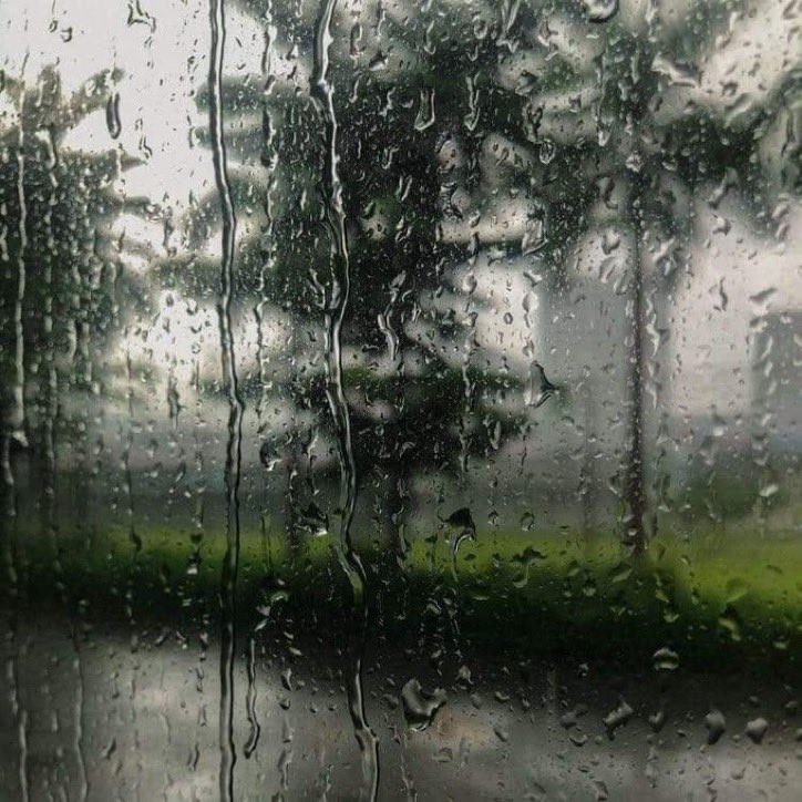 lunecrumbss's tweet photo. the perfect weather – gloomy and pouring☁️⛈️ https://t.co/g98kz8kr53