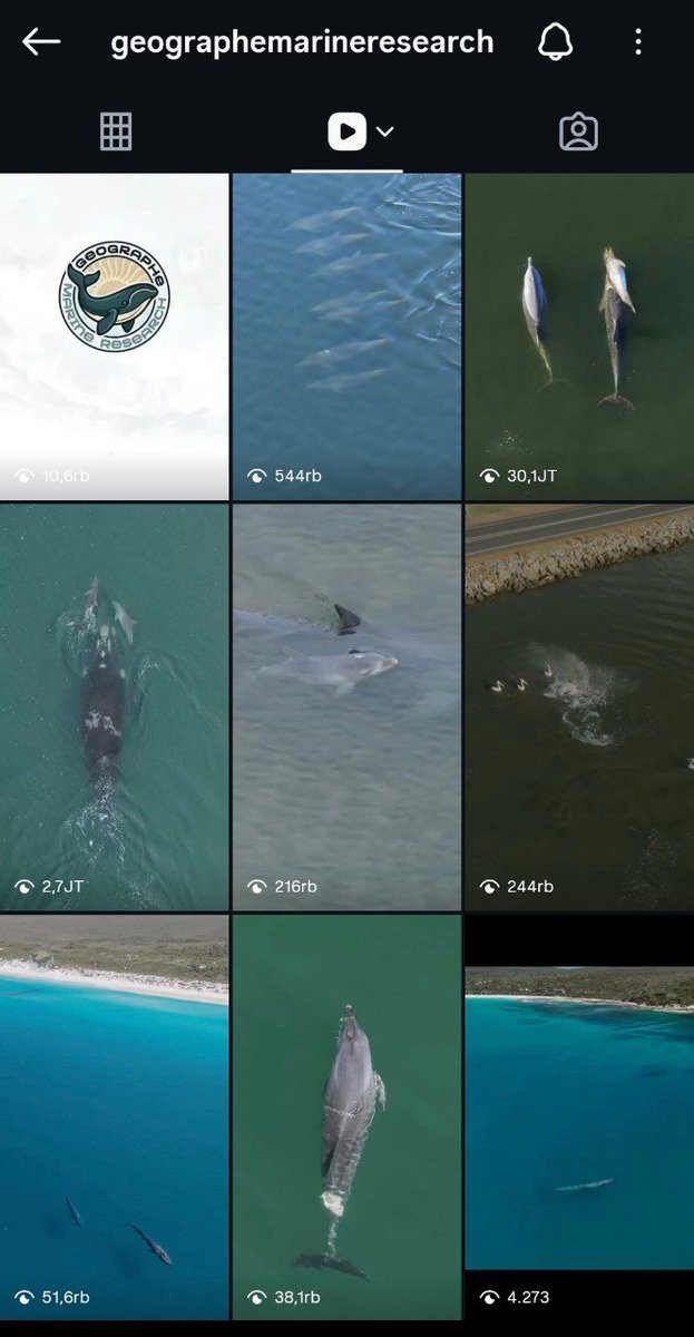 Lembeng811669's tweet photo. Today  $Fraggle  ~ The Grieving Dolphin
(August 7, 2026)

1. ABC News Australia (latest – 11 days of mourning)
https://t.co/EAoSfYb1sb

2. The Indian Express (Editorial)
https://t.co/wc1vFnI9R7

// August 4–6, 2026

1. National Catholic Register
https://t.co/7r2kgYHR8S

2. Greek Reporter
https://t.co/1u9Q5uyGW2

3. India Today
https://t.co/BsdGvfpqI8

4. The Indian Express (Trending)
https://t.co/ziFVFnGdG4

5. The Independent
https://t.co/gONfVi2mlD

// Late July 2026

1. ProtoThema English
https://t.co/9QGZyFgoZZ

2. SWNS / Discover SWNS (original video source)
https://t.co/12OJNWalqP

All the news reports above are sourced from the Geographe Marine Research drone video.

- https://t.co/cYlhvMB3nu 

- 30M+ on Instagram: https://t.co/d1HMAbPw4O

- 27M+ on Facebook: https://t.co/f4YRlwPa9T

- The Straits Times: https://t.co/lrL0so2PZM
-

... and many more; numerous media outlets will soon be sharing this story. #TheGrievingDolphin #

@FraggleTheDolph
