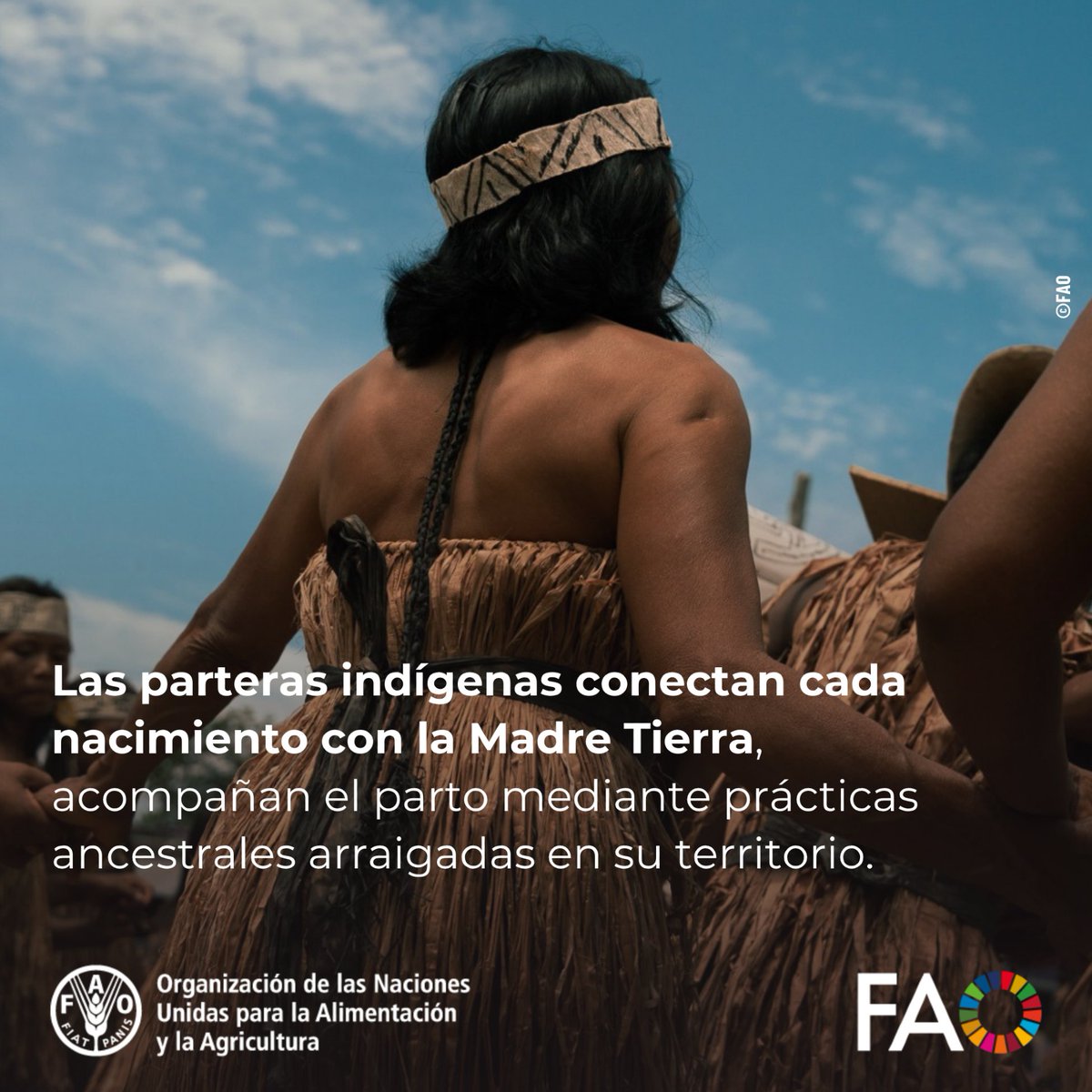 FAOEcuador's tweet photo. 🌎🤱Las #ParterasIndígenas cuidan la vida desde el nacimiento y fortalecen el vínculo entre las personas, comunidades y territorios. 

En el #DíadelosPueblosIndígenas, reconocemos el aporte de las Parteras Indígenas como guardianas de conocimientos ancestrales. 

#UnaSolaSalud https://t.co/f7cjrp5oMq