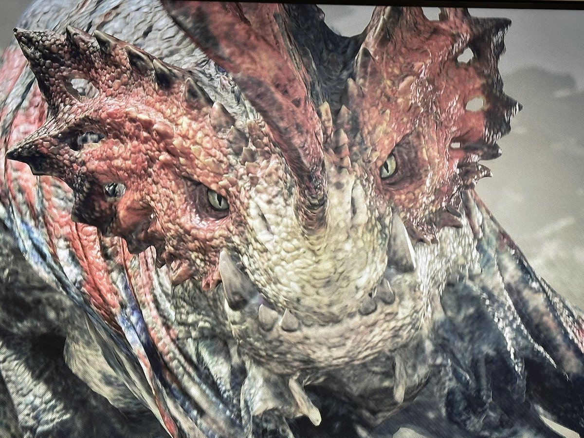 itati_akatsuki's tweet photo. ニワトリ🐓とカエル🐸討伐٩( 'ω' )وｼｬｷｰﾝ↑✨ https://t.co/PNxNEUt35Z