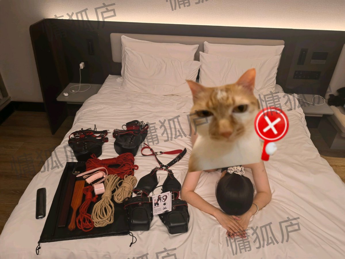 worker2333333's tweet photo. 询问了孽徒之后，打算发出来。
狗狗版的孽徒！（这家伙有男m来着）
欢迎大家来我评论区玩∠( ᐛ 」∠)_
（所有行为经过知情同意，无真实暴力发生） https://t.co/Ahdv8tQTaS