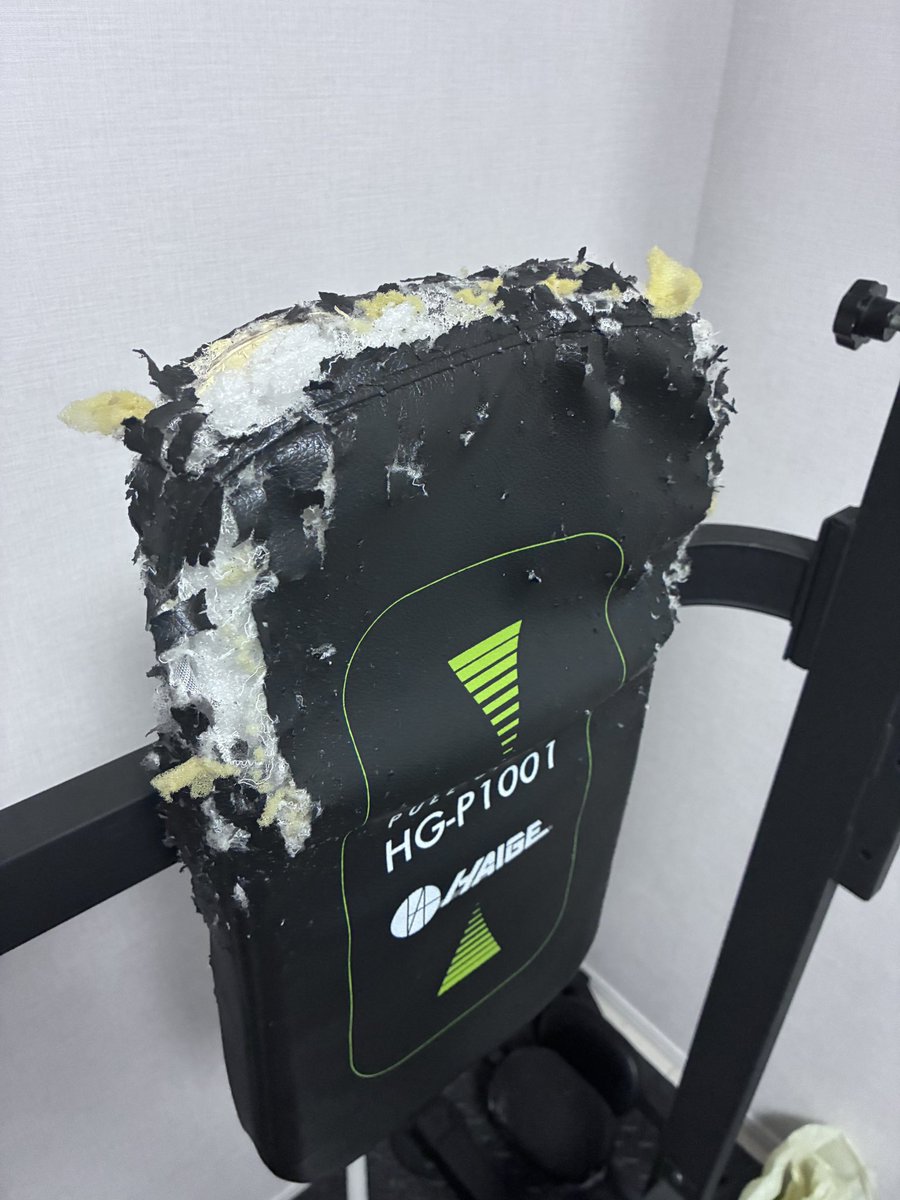 GYOU80221895's tweet photo. そういえば我が家に新しいペット(器具)が入りました、先輩…マットが猫にやられて機能してないっすよ笑
まぁ懸垂は普通に出来るので、コレで朝寝起きの有酸素前に追い込めますね(  ¯꒳​¯ )ᐝ
 #筋トレ  #減量  #背中トレ https://t.co/sQ5gV494xj