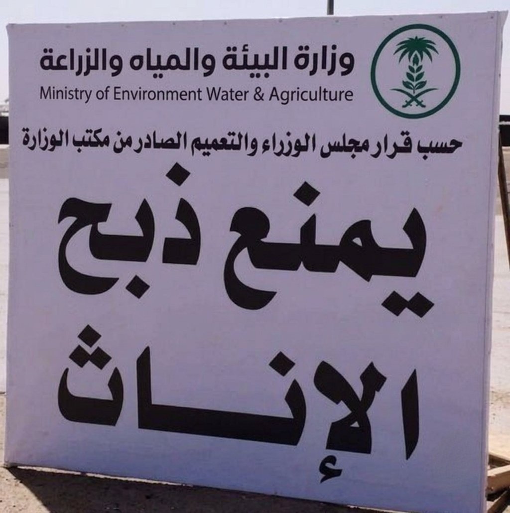 tab_ny67415's tweet photo. مافهمت وش قصدهم؟ https://t.co/GLUbWFspWv