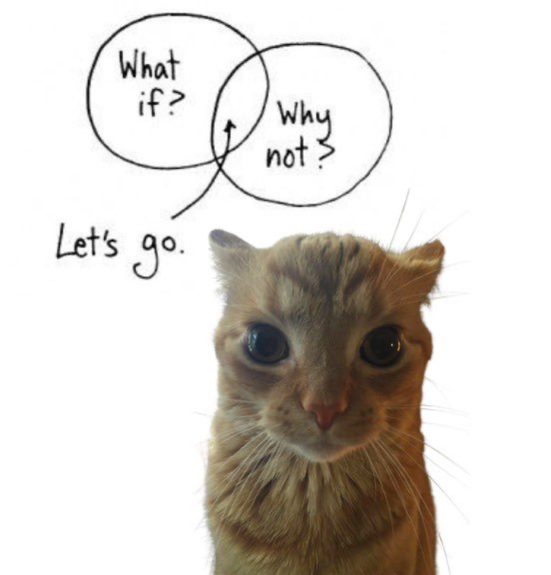 gakstercat's tweet photo. https://t.co/PBYHbkPLSS