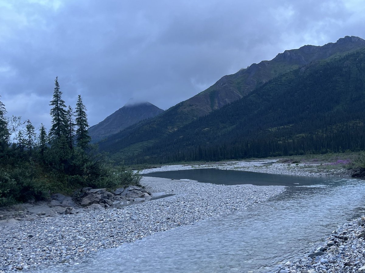 NationalParkEx1's tweet photo. The “Island” in Gates. Ambler River Valley. @GatesArcticNPS https://t.co/l44hWKHStu