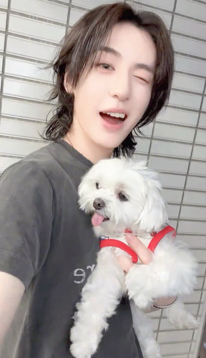 lhani21's tweet photo. 코니 생일축하해 ෆ 
앞으로 이한이네랑 좋은 추억많이 쌓아 🐶 https://t.co/uXnayZJ4iV