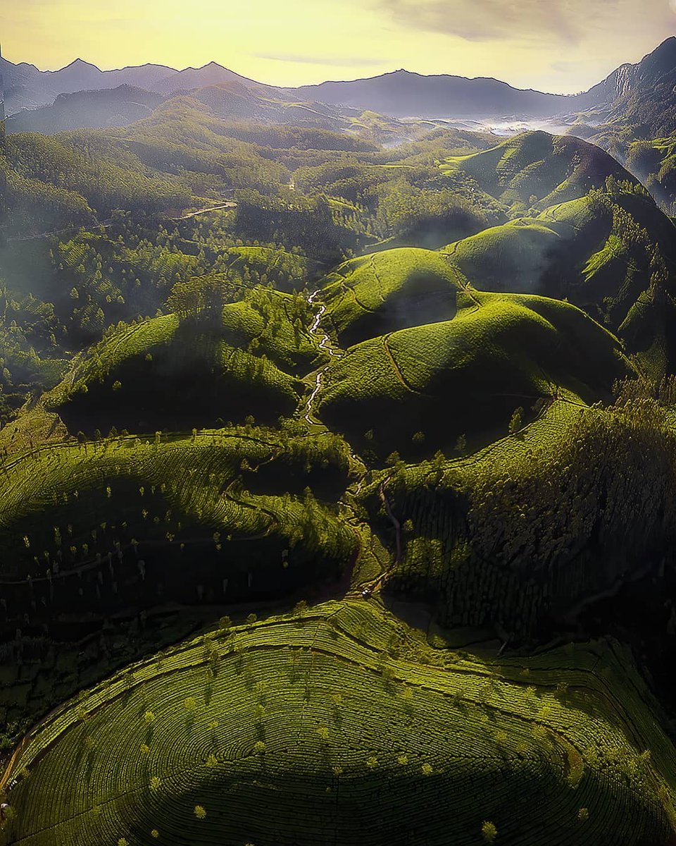 riveragerald049's tweet photo. Sunrise above the mountains in Munnar still in awe of this beautiful view https://t.co/DaRyVEtieb