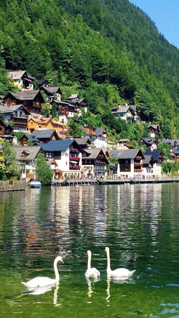cities_pleaces's tweet photo. Austria https://t.co/ebEOhyfMu4