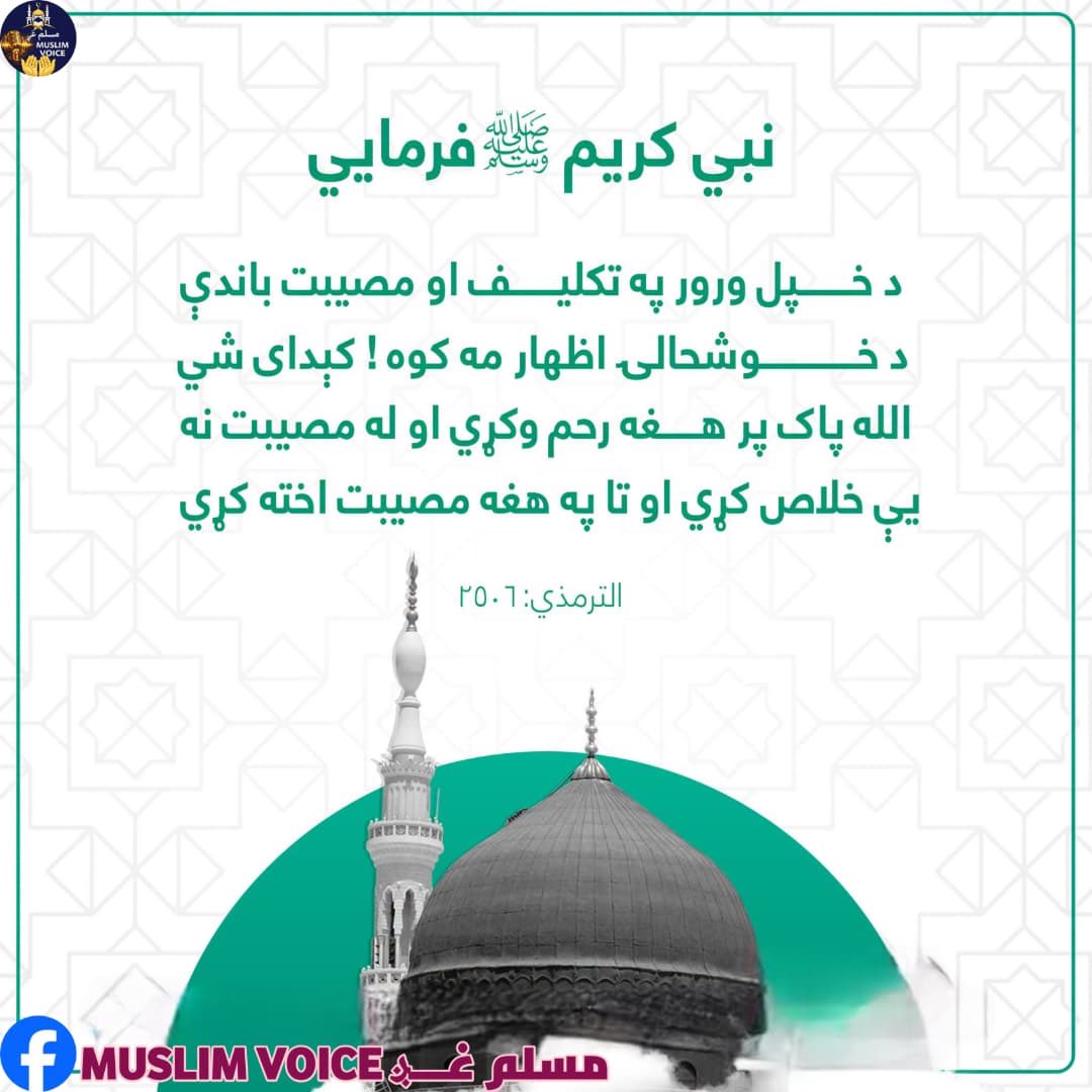 FazalmohammadFa's tweet photo. https://t.co/ivS1YbIWec