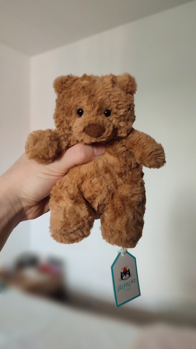 Basil_Mage's tweet photo. Most bear-shaped bear ever https://t.co/MD8O3yQP7C