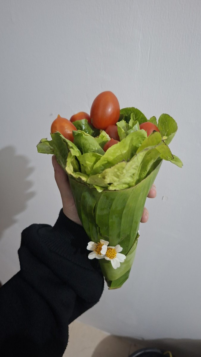 avocadiess's tweet photo. boyfriend got me a bouquet of lettuce n tomatoes https://t.co/c99NmWFIEr