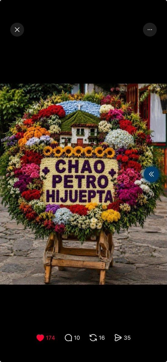 AlbertoSegura90's tweet photo. @MamertaColombi1 https://t.co/216J5l2KkC