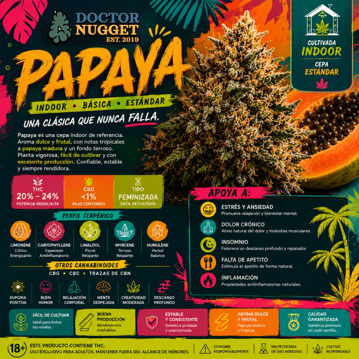 doctornuggetmx's tweet photo. Papaya Indoor 🥭🍈✨
Dulce, aromas intensos a fruta madura

 #drnuggetmx https://t.co/tScft3FnHX