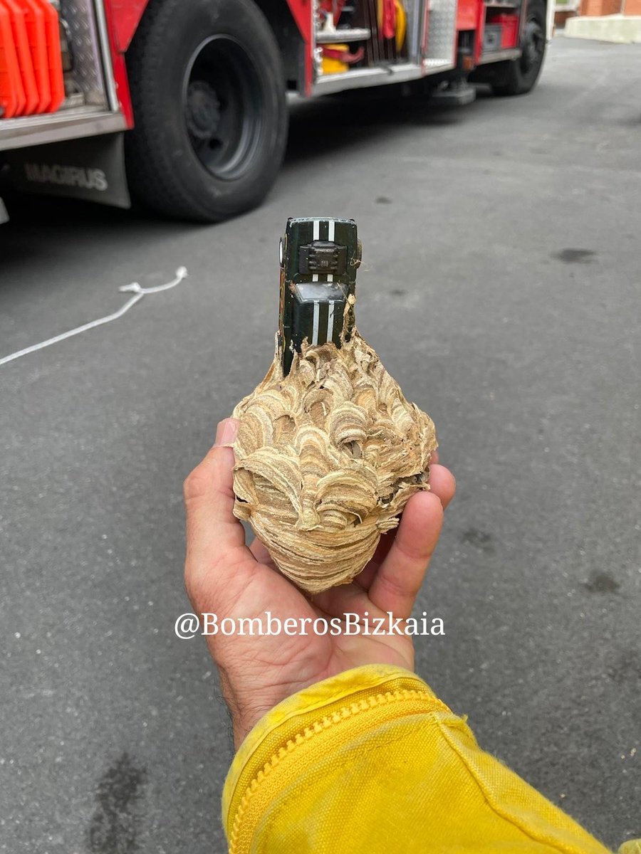 BomberosBizkaia's tweet photo. Curioso donde habian construido su nido estas velutinas hace unos días 
La reproducción de un deportivo americano!!
Se nota que eran de la margen derecha😂
Bitxia non eraiki zuten habia belutina hauek
Amerikar baten ibilgailuan!!
Ikusten da eskuinaldekoak zirela😂
#Berango https://t.co/fWbZGwP8Op