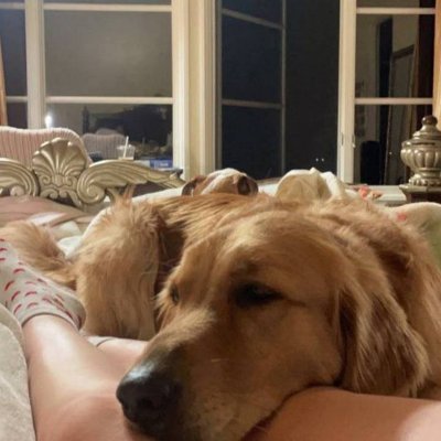 JordanJ78078630's tweet photo. Waiting on my k9 friend to have some fun 😈together WMO 

https://t.co/GtzaCDgrGC

#zoophillia #zoosarevalid #beastiality #dogknot #zooprideisvalid #zoophile #antizoo #antizoophileantizoo #k9girl #zoopride #zoophilep https://t.co/4InkACzfzk