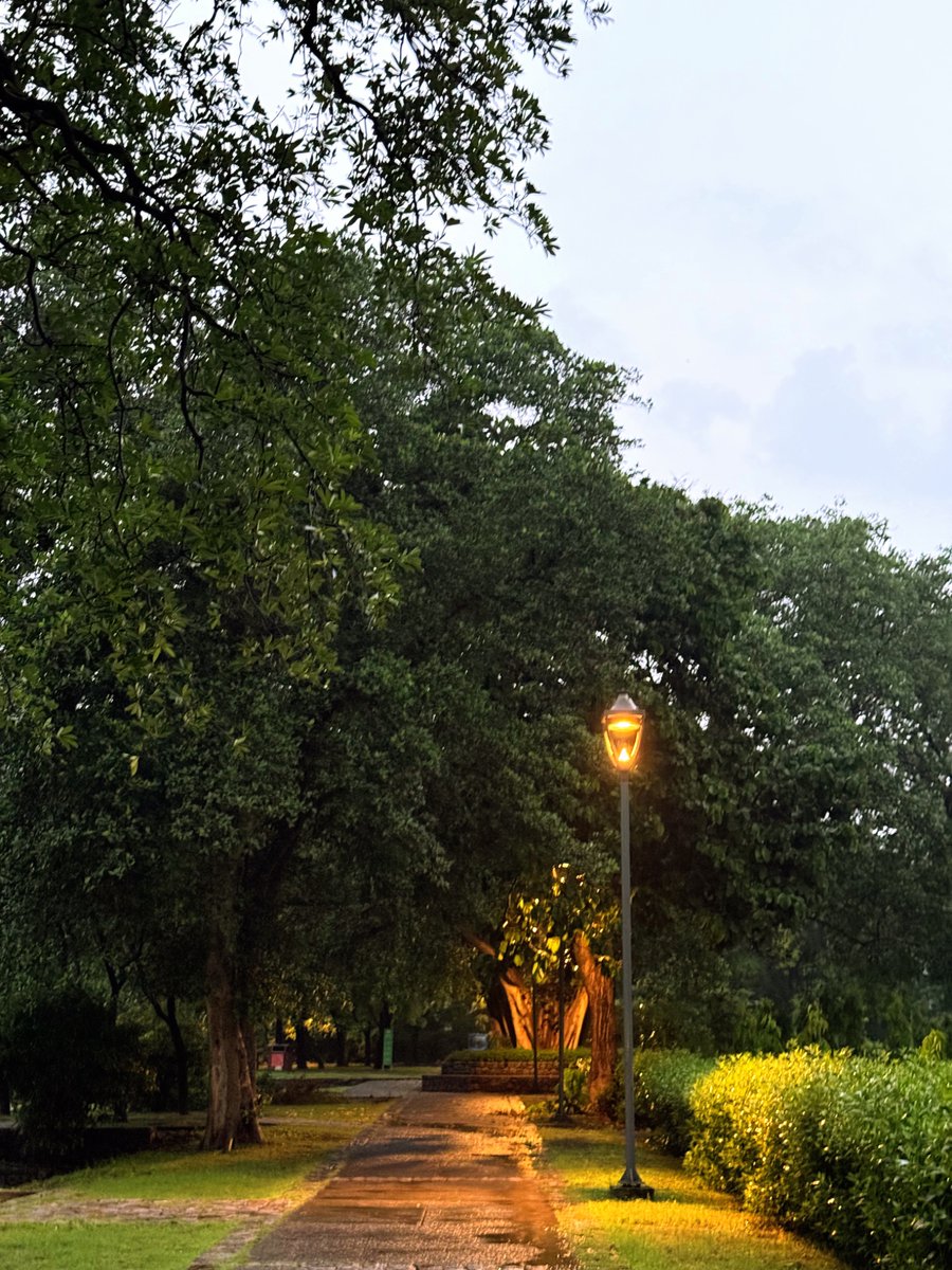 _shivangisaxena's tweet photo. Yes, Delhi too can be absolutely beautiful in the monsoons 😭🤌 https://t.co/BElmwJrU8c