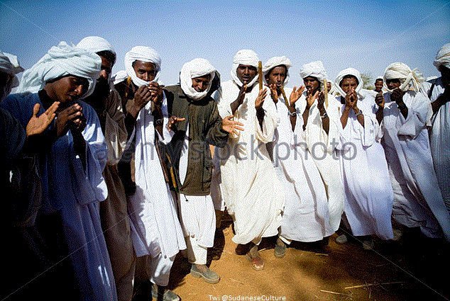 SudaneseCulture's tweet photo. Four Different States Tribal Traditional Dancers - Sudan.

#SudaneseCulture 
#ثقافة_سودانية https://t.co/hQ2UJmIgJA