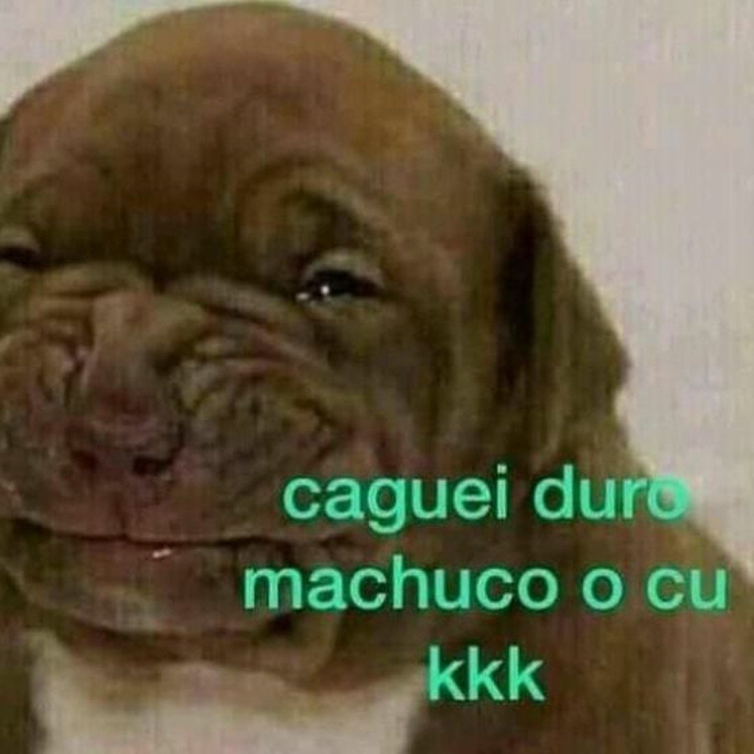 Yaaaaaaaaaaa666's tweet photo. Onça pintuda matando a águia careca https://t.co/VCsgKjzdsj