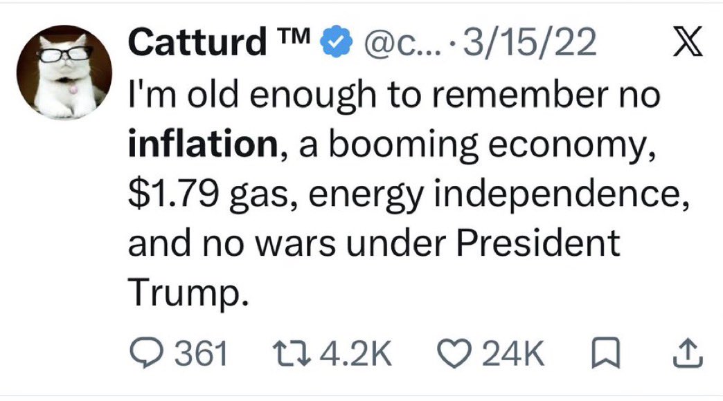 B0bDigital's tweet photo. @catturd2 And now, once again shilling for daddy https://t.co/Um9ppOQayy
