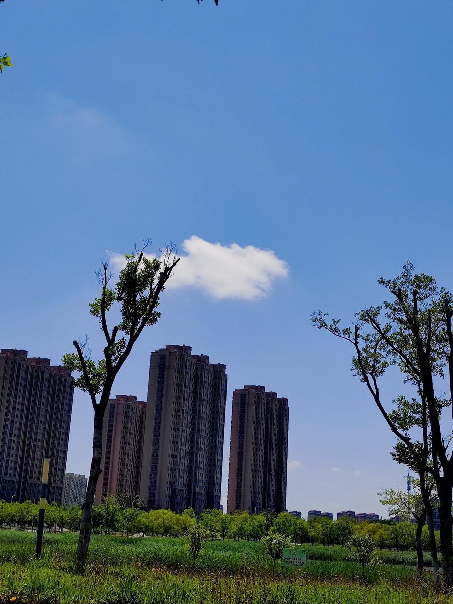 AndreaMala8u5t's tweet photo. [Community cleanup this Sat 9am at Central Park—grab gloves u0026 snacks, let’s spruce up our neighborhood together! ]， https://t.co/1iE7IphMmN