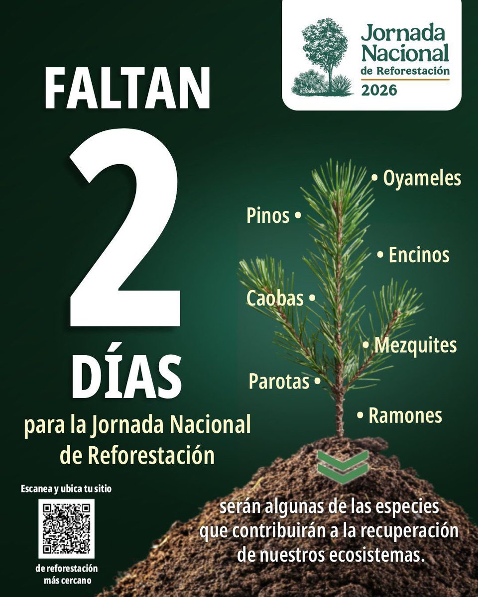 SEMARNAT_mx's tweet photo. #JornadaNacionalDeReforestación | ¡Faltan 2 días!

📍Consulta el punto de encuentro más cercano y participa: ➡️ https://t.co/81yYfG6BP7

#SomosMedioAmbiente https://t.co/mh7Z2axDuA