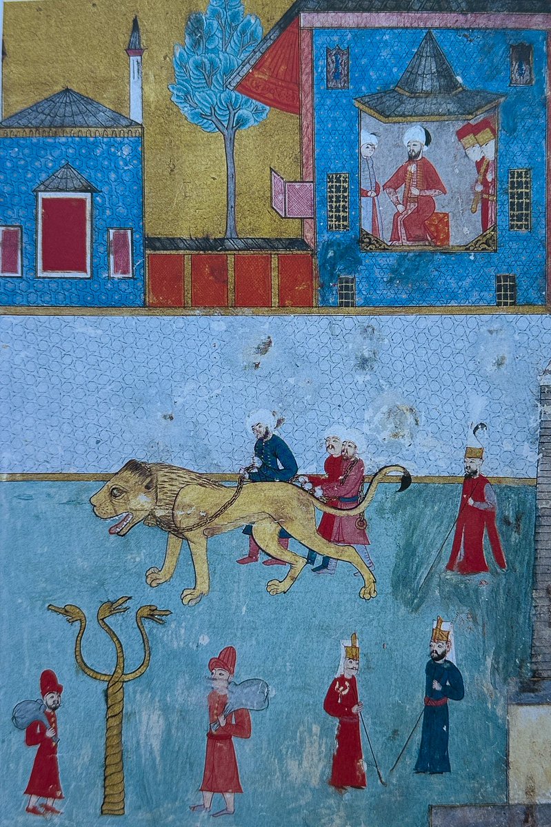 dailyottoman's tweet photo. 1582 Şenliği’nde III. Murad’ın önünden bir aslan geçiriliyor. https://t.co/kWcrU2EWLH