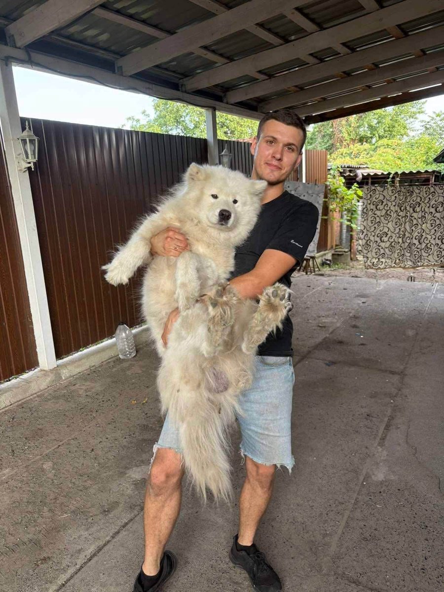 nexta_tv's tweet photo. 🫶 Nova Poshta has found the dog that its employees had previously forced out into the heat

The dog is safe now: he has been fed and will spend the night at the home of one of the company’s employees.

Tomorrow, he will be taken to a vet for a check-up and the necessary vaccinations. After that, he will go to his new loving family.