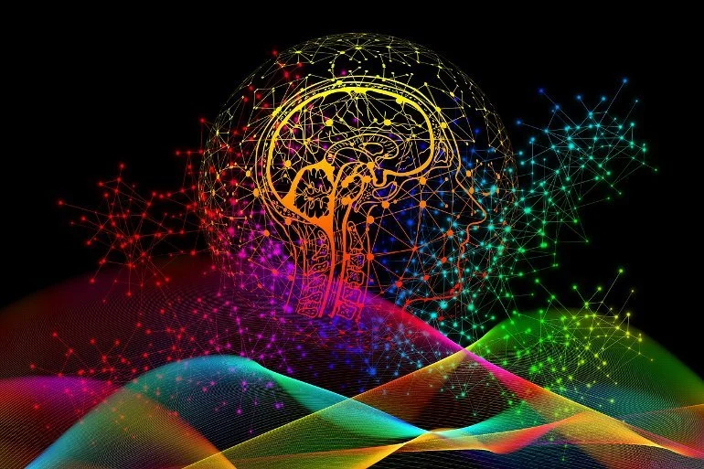 NightSkyToday's tweet photo. JUST IN🚨: A Neuroscientist analyzed 100 years of brain research and found NO evidence of where consciousness is located in the brain.

This indicates that the theories saying that consciousness is directly connected to the universe itself are important! https://t.co/PGbg0gLZsi