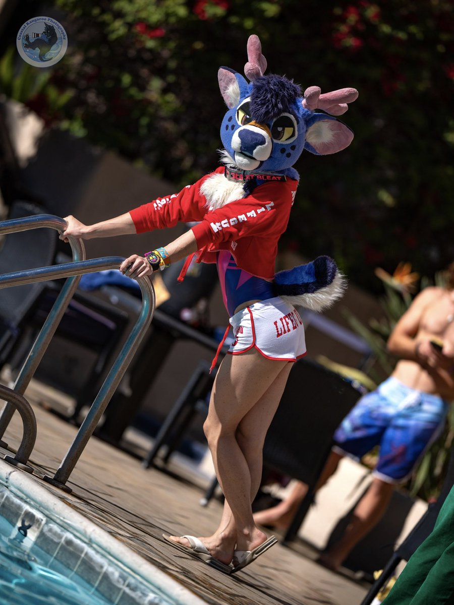 Bungee_bucc's tweet photo. Hey!
No running on the pool deck you! >:( 

📸 @CoastalKangaroo 
🦌🪡 @WildcatCostumes 
#fursuitfriday https://t.co/H3vvmw5gwf