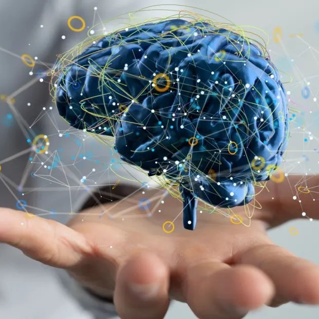NightSkyToday's tweet photo. JUST IN🚨: A Neuroscientist analyzed 100 years of brain research and found NO evidence of where consciousness is located in the brain.

This indicates that the theories saying that consciousness is directly connected to the universe itself are important! https://t.co/PGbg0gLZsi