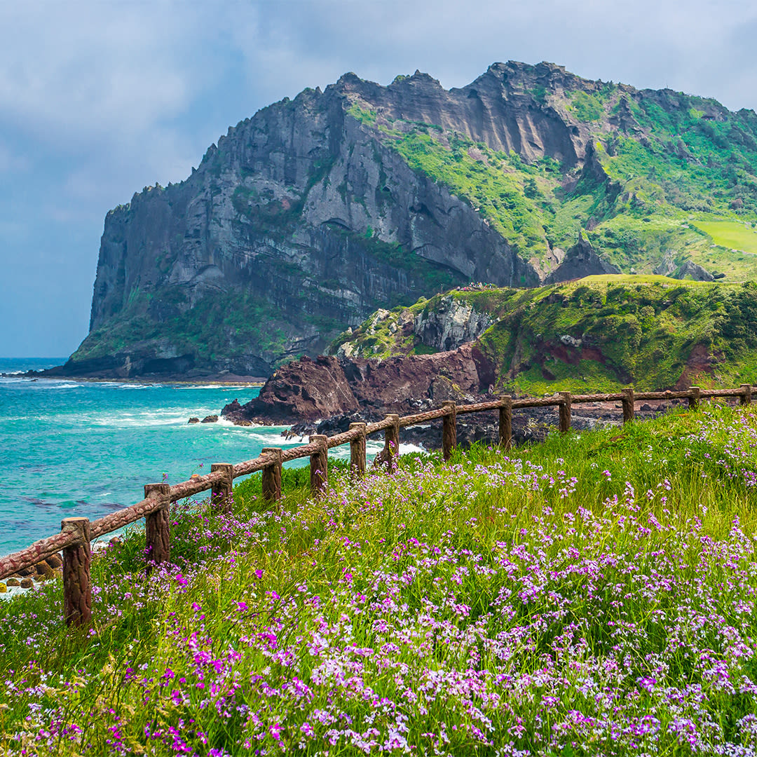 PremierTravelDV's tweet photo. Volcanic landscapes and oceanfront beauty make Jeju Island, South Korea, a spectacular escape. 🌿🌊 Discover scenic coastlines, natural wonders, and elevated relaxation. Let's get you there! (239) 600-7199 https://t.co/4dMkII4aWp