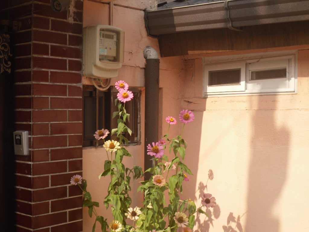 ____chill2's tweet photo. 🌞 https://t.co/sWZnDYpf7j