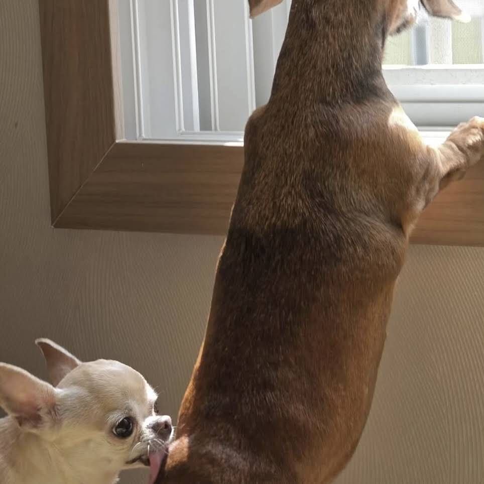 twaniimals's tweet photo. https://t.co/VMsAwPt4TY