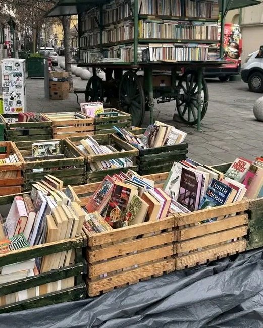 AlejaReads's tweet photo. Born to read.>>> https://t.co/ePzRswLuzt