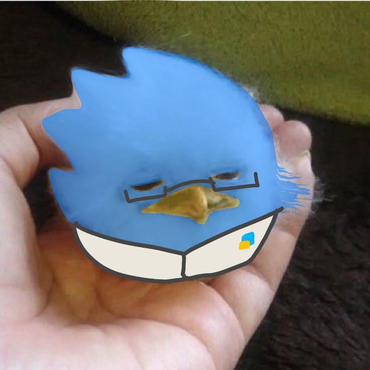 birdballsol's tweet photo. https://t.co/dhz3TUNkuu