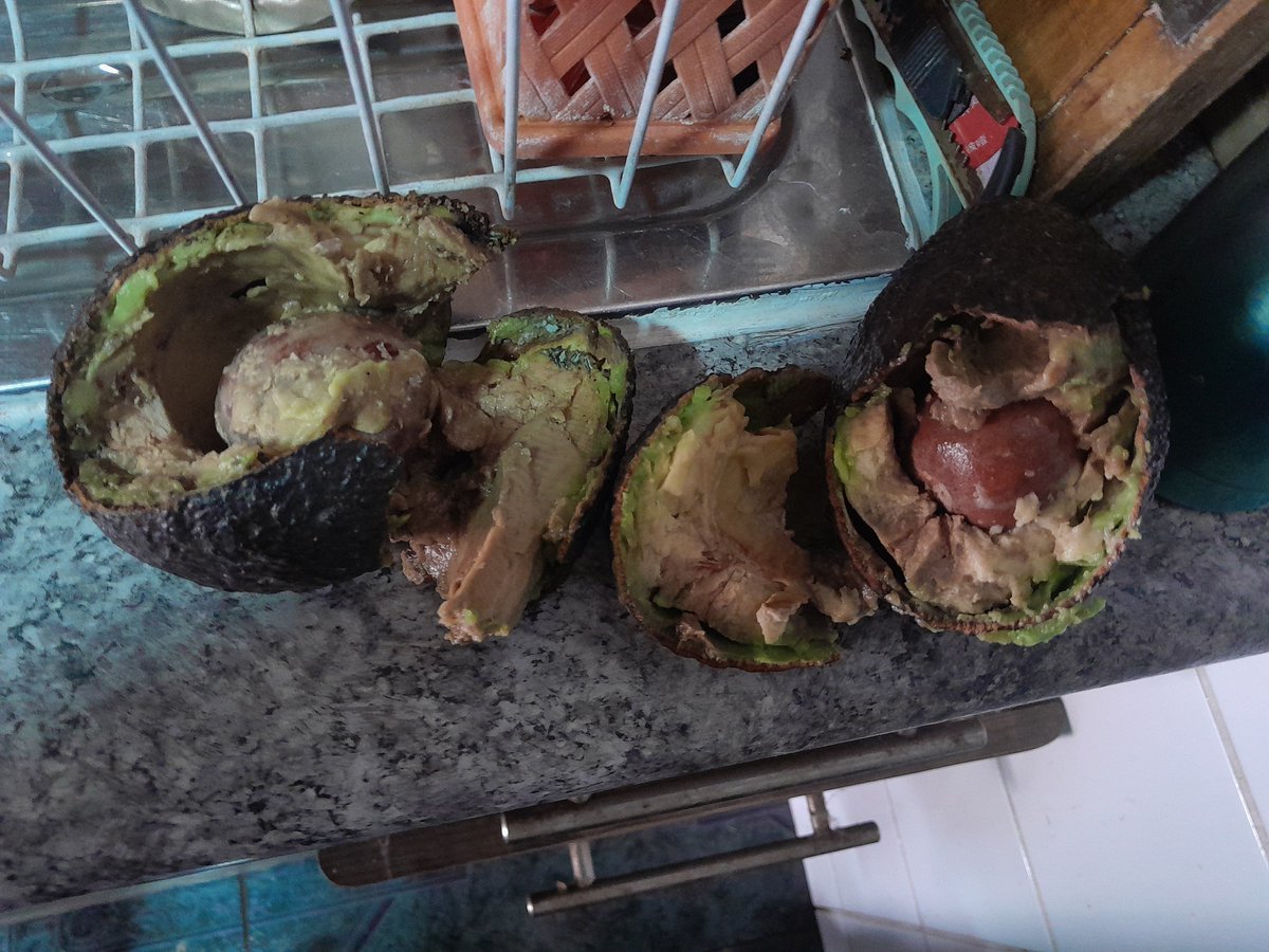 yoongiyternura's tweet photo. weon por q chucha ahora las paltas no salen buenas??????? las compramos AYER y miren cmo estaban 💔💔💔 qué pasó con la palta hazz 😭 https://t.co/k9kjXWivQz