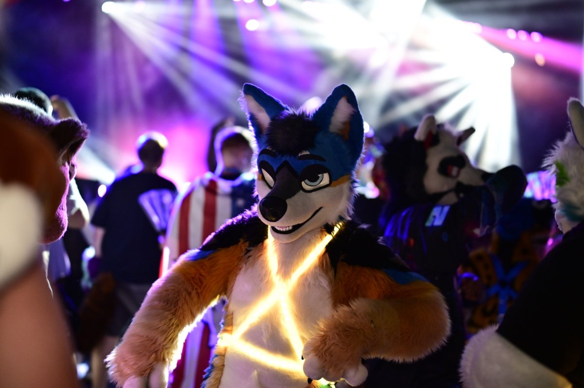 NexusJackal's tweet photo. Gimme that heat, gimme that fire 🔥
📸: @FinixFlynx | #FursuitFriday https://t.co/fqgtKQq07Y
