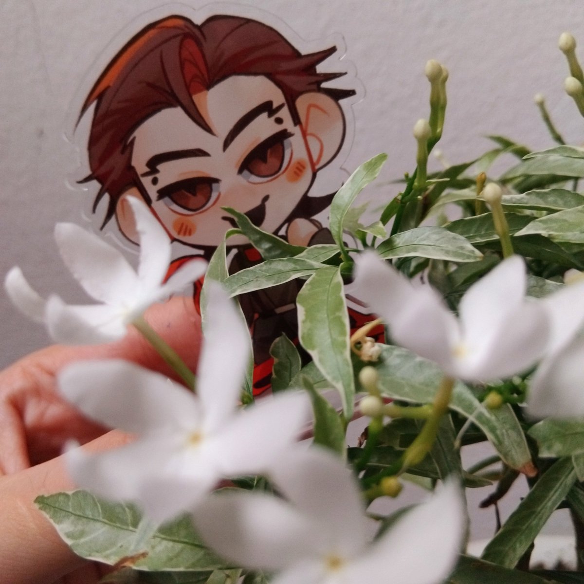 KarlHoffmann194's tweet photo. My jasmine bloomed so much today...🙂‍↕️🙂‍↕️ Oh—HAGEN?? What are you doing here?! 🤨 https://t.co/aGltqtwtUT