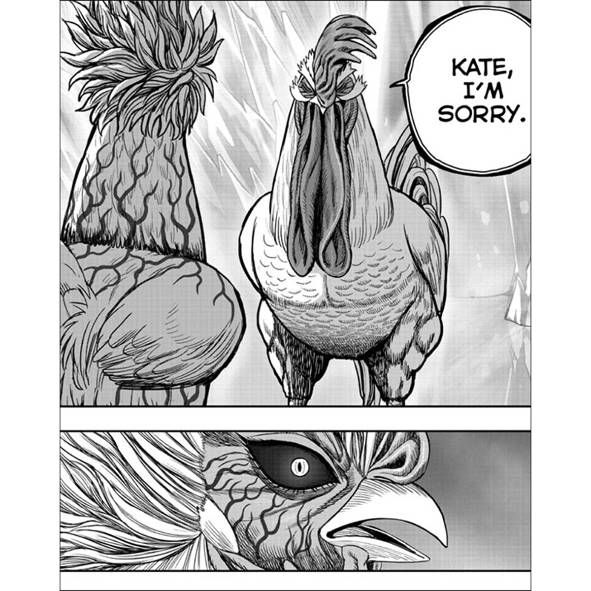 VIZMedia's tweet photo. Big brother Kohaku’s always had Kate’s back!

Read Rooster Fighter, Ch. 62.1 in VIZ Manga for free!