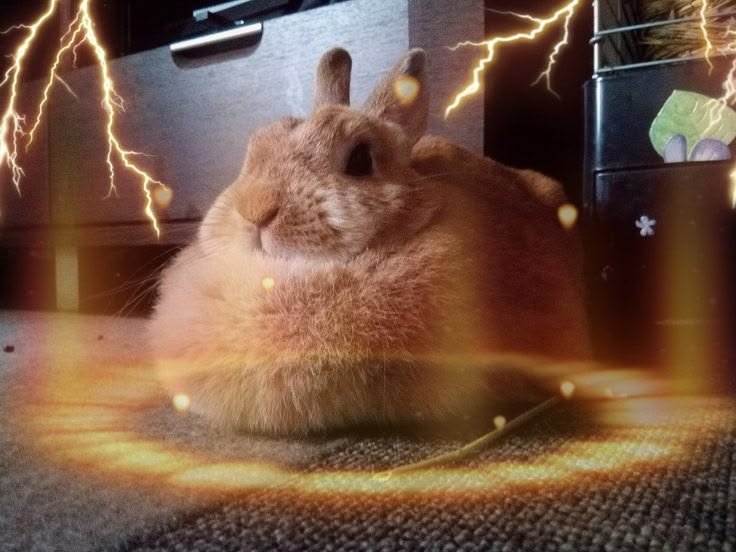 d1ivinfushiguro's tweet photo. made this one https://t.co/2p7Z8enoV0