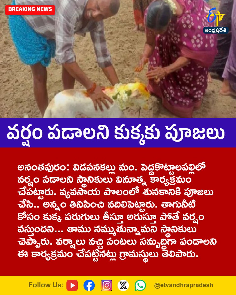 etvandhraprades's tweet photo. వర్షం పడాలని కుక్కకు పూజలు
For More LIVE Updates Click This Link
https://t.co/eltbdVshne
#Anantapur
#Rain
#RainPrayers
#VillageTradition
#Etvapbreaking https://t.co/FT91xRBCu0