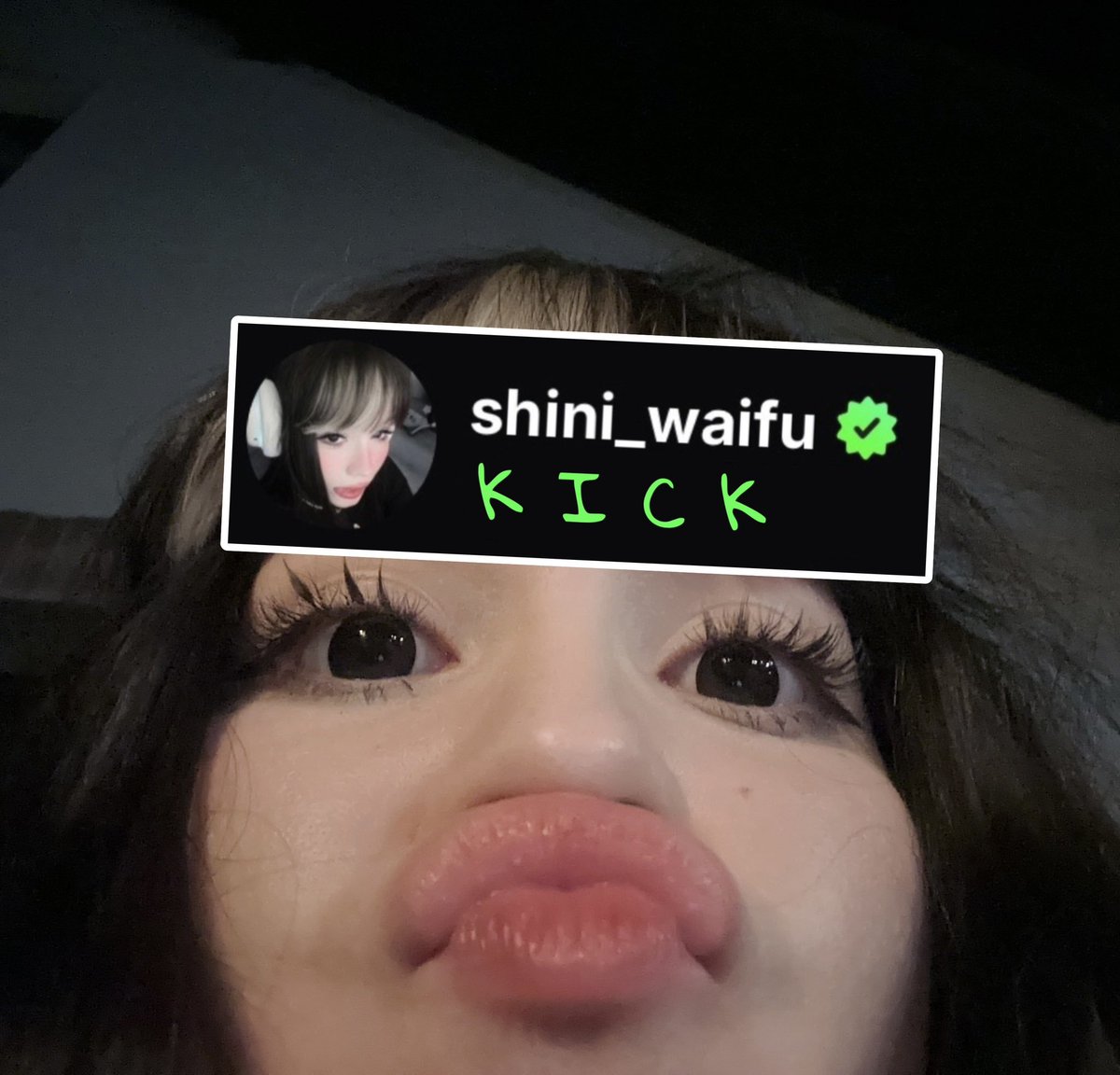 shiniwaifu's tweet photo. POWRÓT DO GTA:RP - to też będą wieczory z KICKiem 💚 #strefarp - wracamy na Wafelku owo https://t.co/gCXLV2rufQ