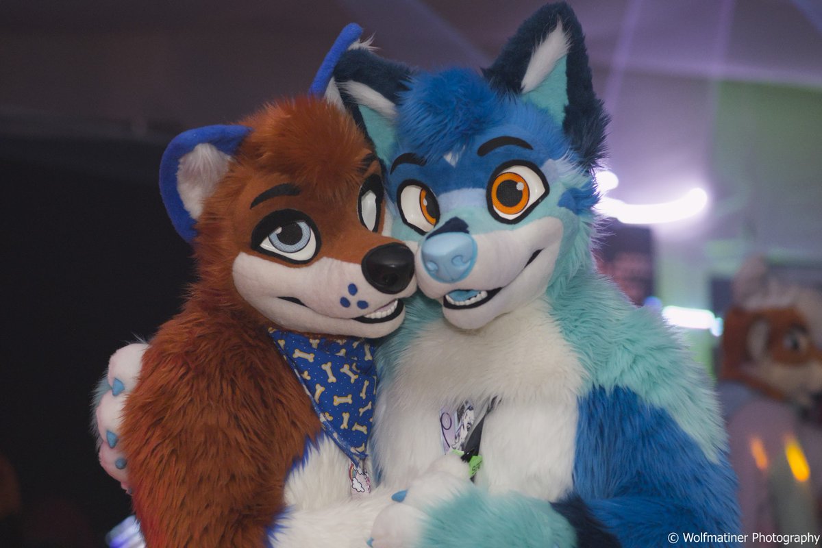 Legiarrd's tweet photo. found a cutie :3

🐺 @realMalunis 
📸 @25komma4 
#FursuitFriday https://t.co/sVayyIUrth